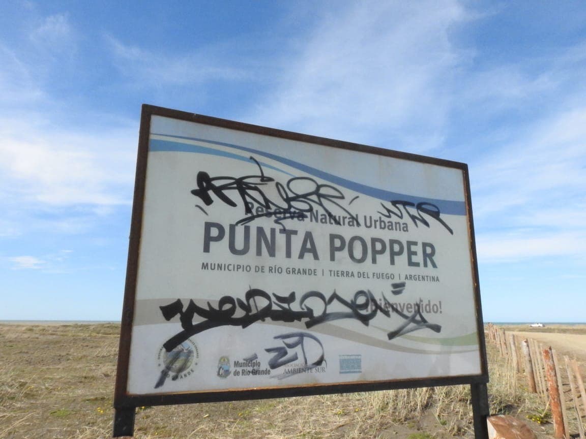 photo 2021 11 01 18 14 14