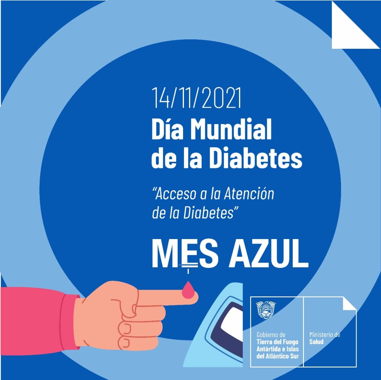 photo 2021 11 10 12 07 38