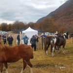 photo 2021 11 14 15 20 59