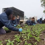 photo 2021 11 14 15 23 06