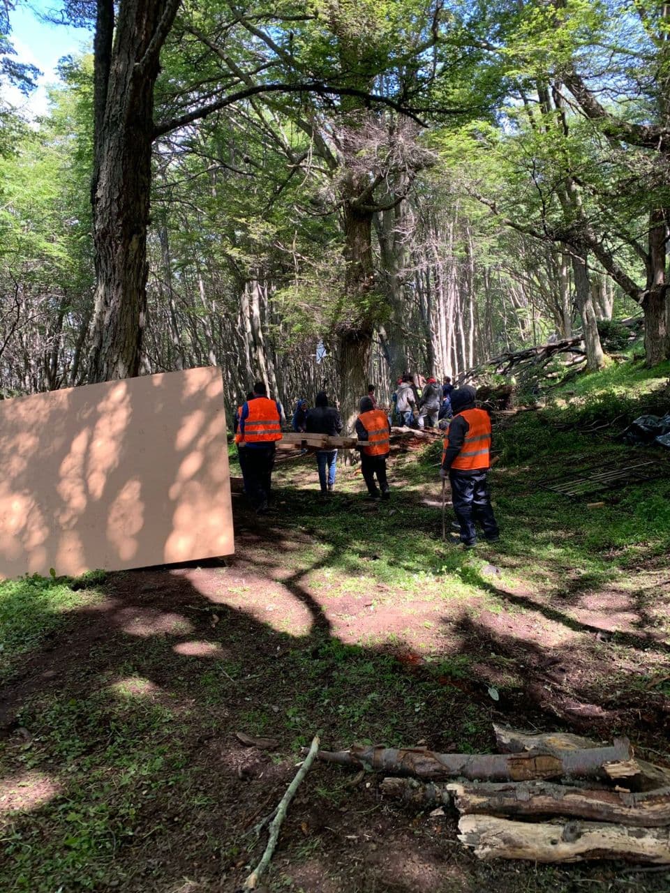 photo 2021 11 20 10 05 57