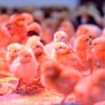 photo 2021 11 21 18 11 49