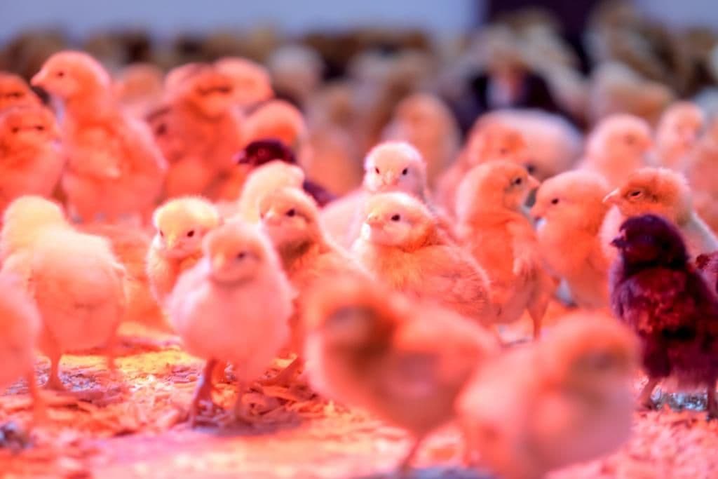 photo 2021 11 21 18 11 49