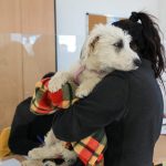 photo 2021 12 01 19 40 00