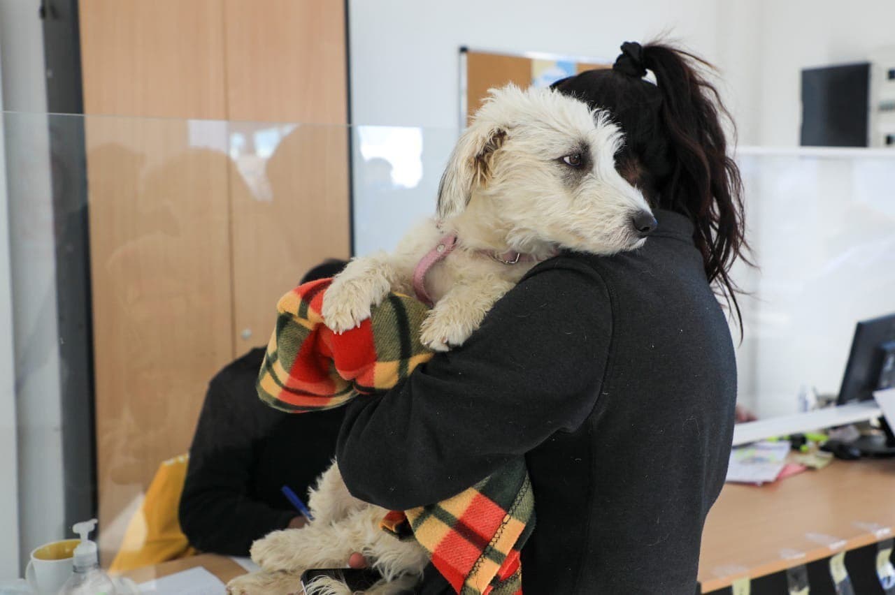 photo 2021 12 01 19 40 00