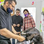 photo 2021 12 06 19 33 54