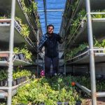 photo 2021 12 29 13 19 18