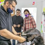 photo 2022 01 10 20 34 45