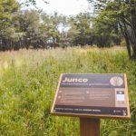 photo 2022 01 28 15 23 58