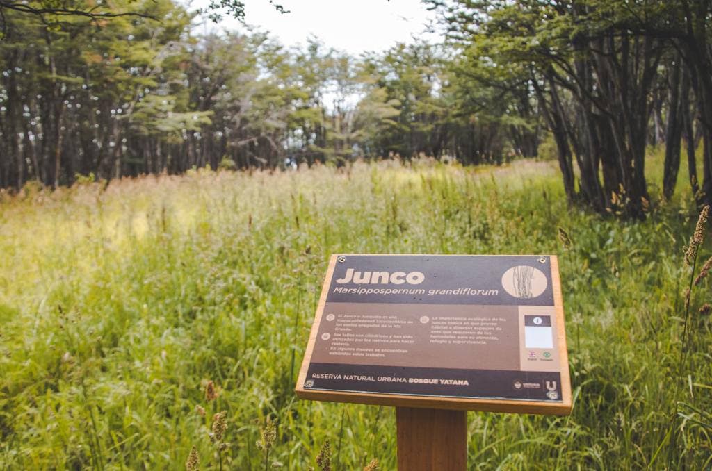 photo 2022 01 28 15 23 58