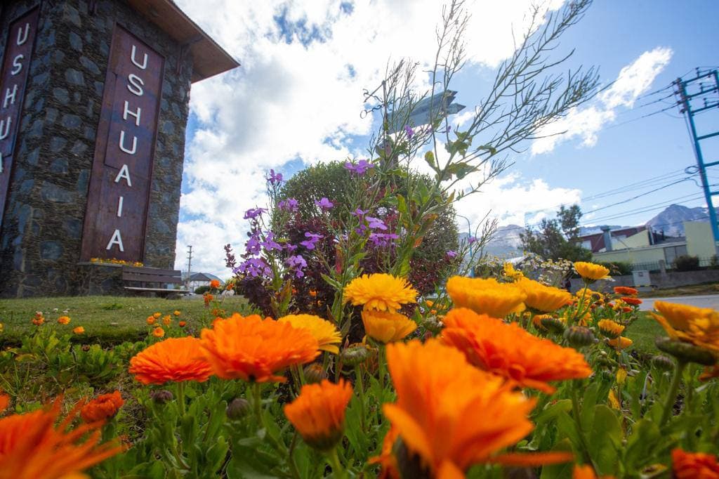 photo 2022 02 01 14 53 28