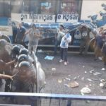 photo 2022 03 18 11 31 49