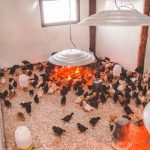 photo 2022 03 19 13 49 22