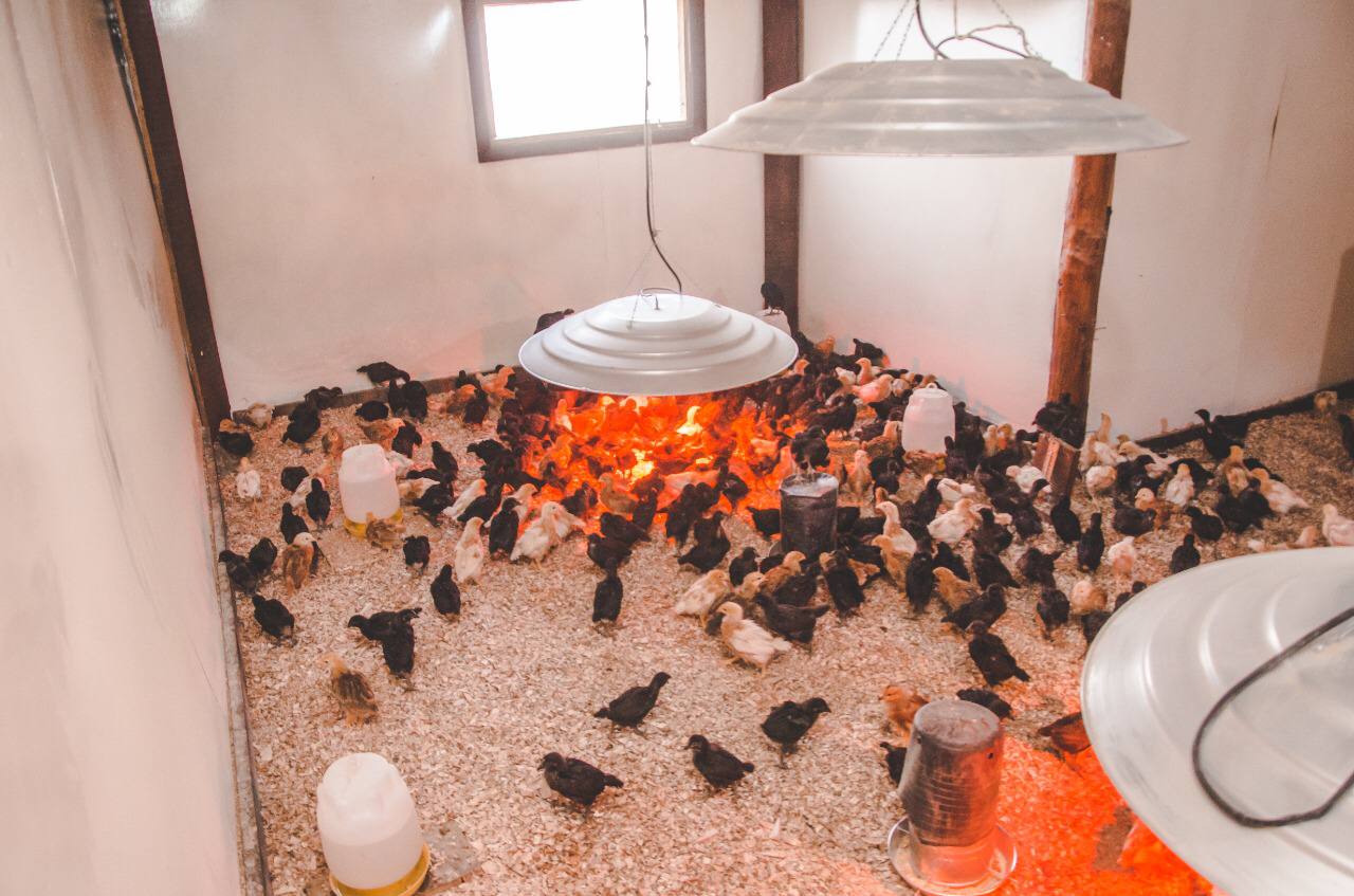 photo 2022 03 19 13 49 22