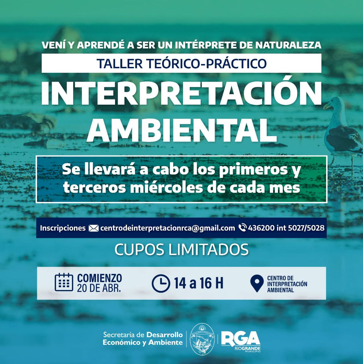 photo 2022 04 15 20 09 32