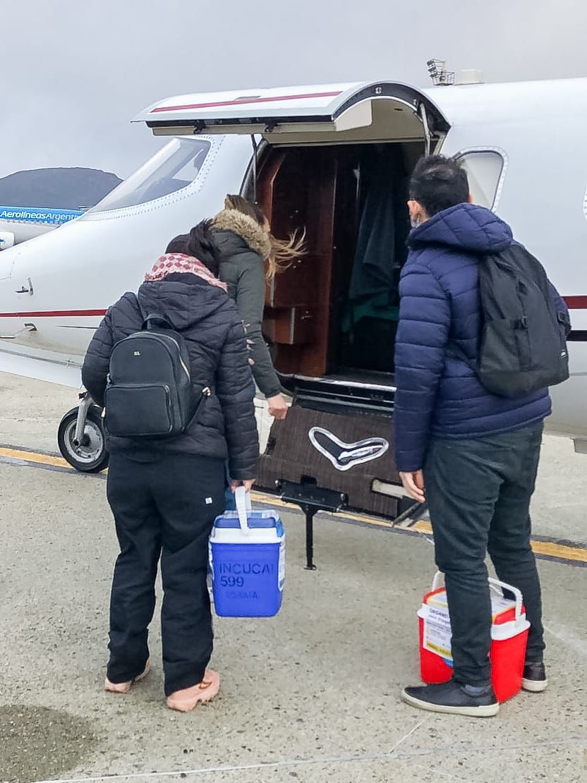 photo 2022 05 08 17 36 58