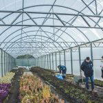 photo 2022 06 03 13 17 01