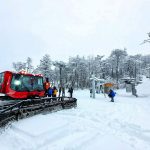 photo 2022 06 23 19 45 39