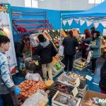 photo 5082657959170910971 y