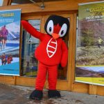 photo 2022 08 20 14 18 32