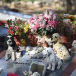 cementerio mascotas