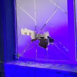 photo 2022 09 04 21 39 44