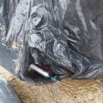 photo 2022 09 04 21 48 34