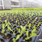 photo 2022 09 10 14 21 13