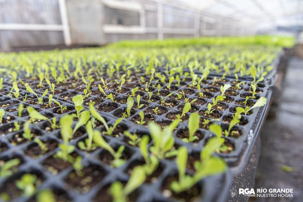 photo 2022 09 10 14 21 13