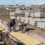 photo 2022 10 08 17 13 34 (2)