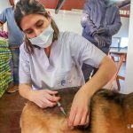 photo 2022 10 11 15 44 20