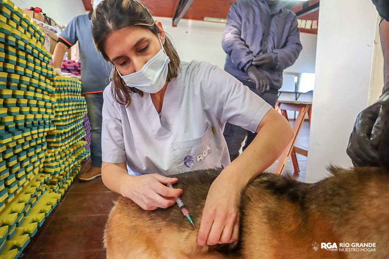 photo 2022 10 11 15 44 20