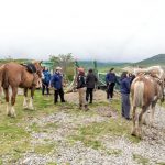 photo 2022 10 31 11 25 44