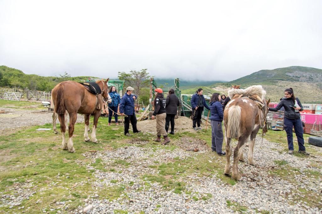 photo 2022 10 31 11 25 44