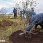 photo5141379709819529985