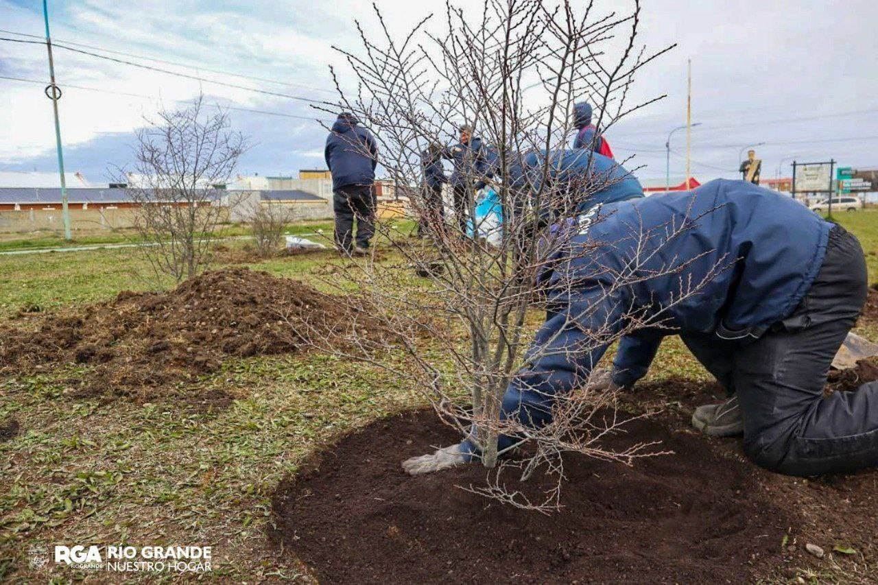 photo5141379709819529985