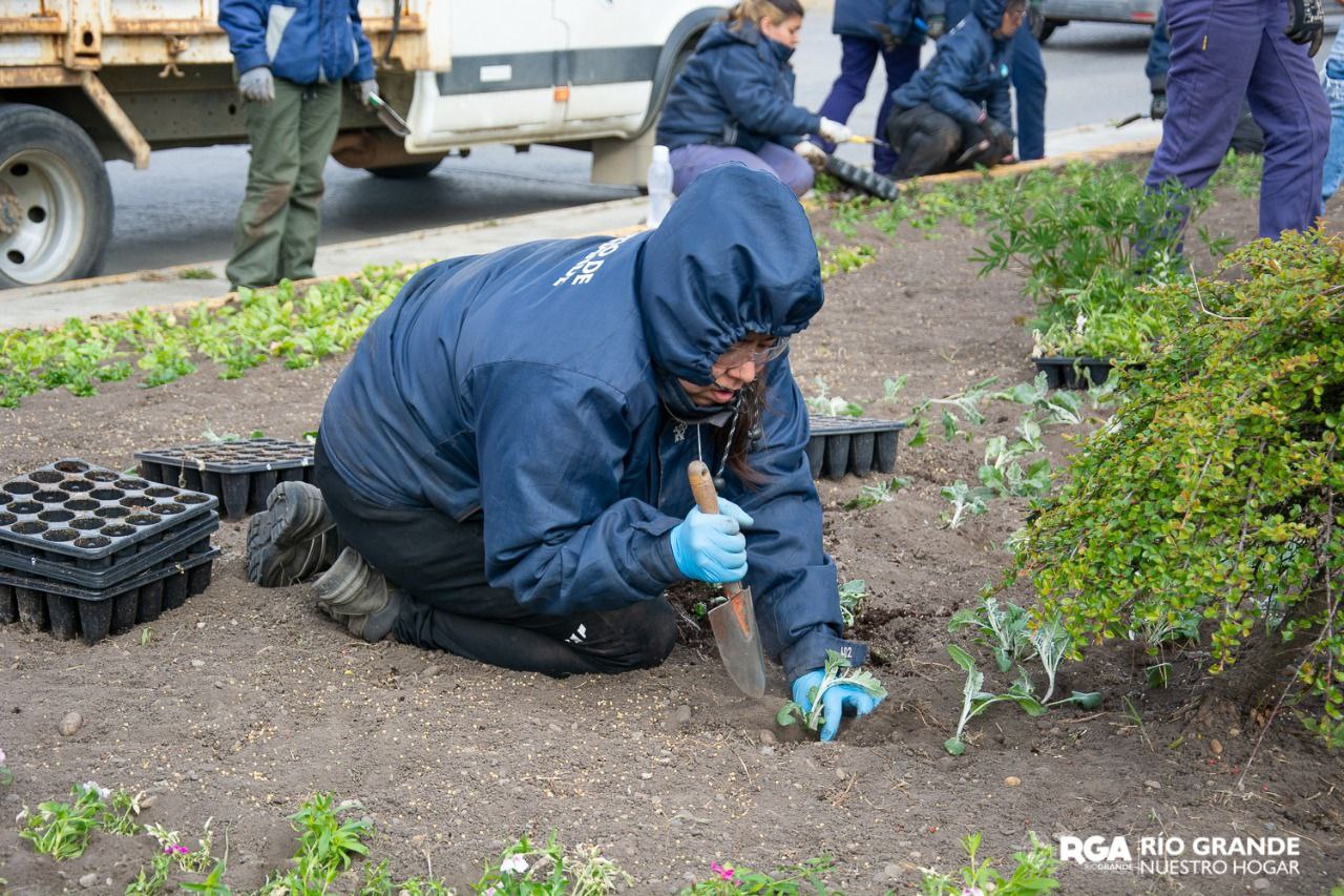 photo5163794817719839473