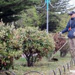 photo 2022 11 06 18 58 17