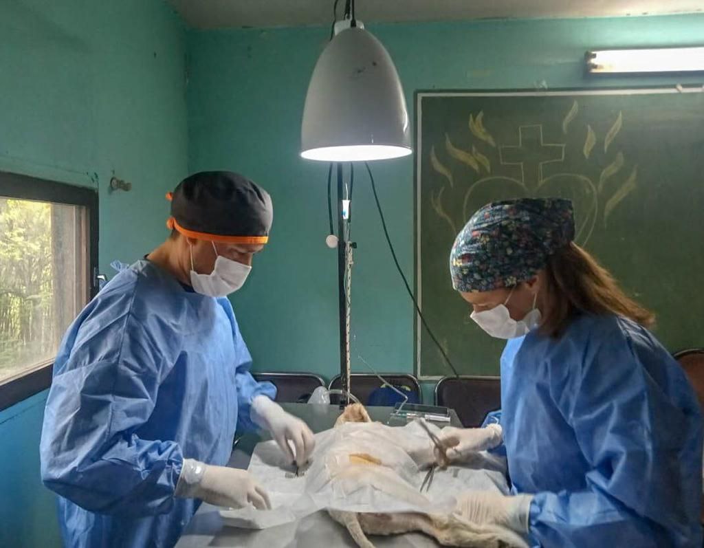 photo 2022 11 22 12 30 50