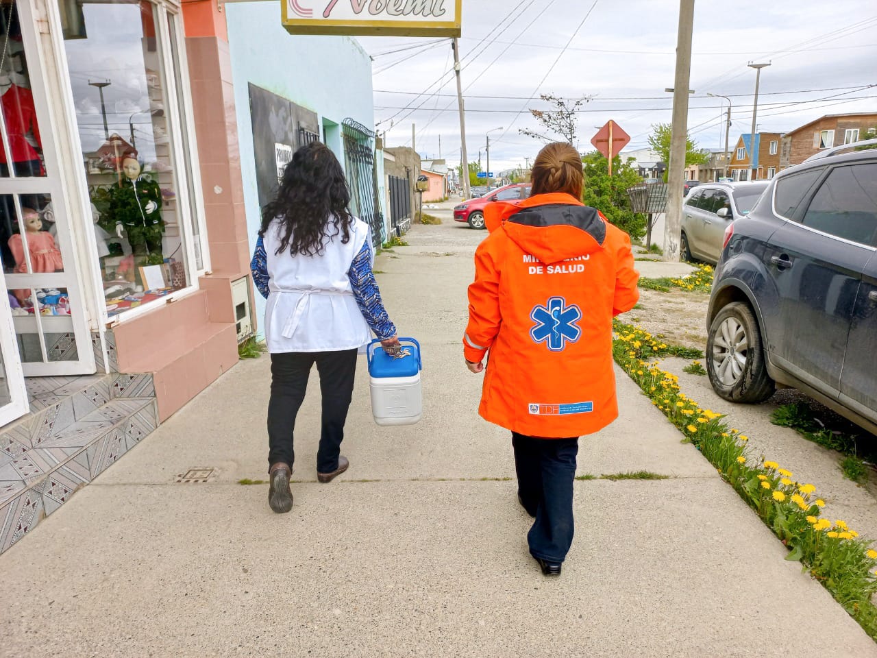 photo 5125136023246973481 y