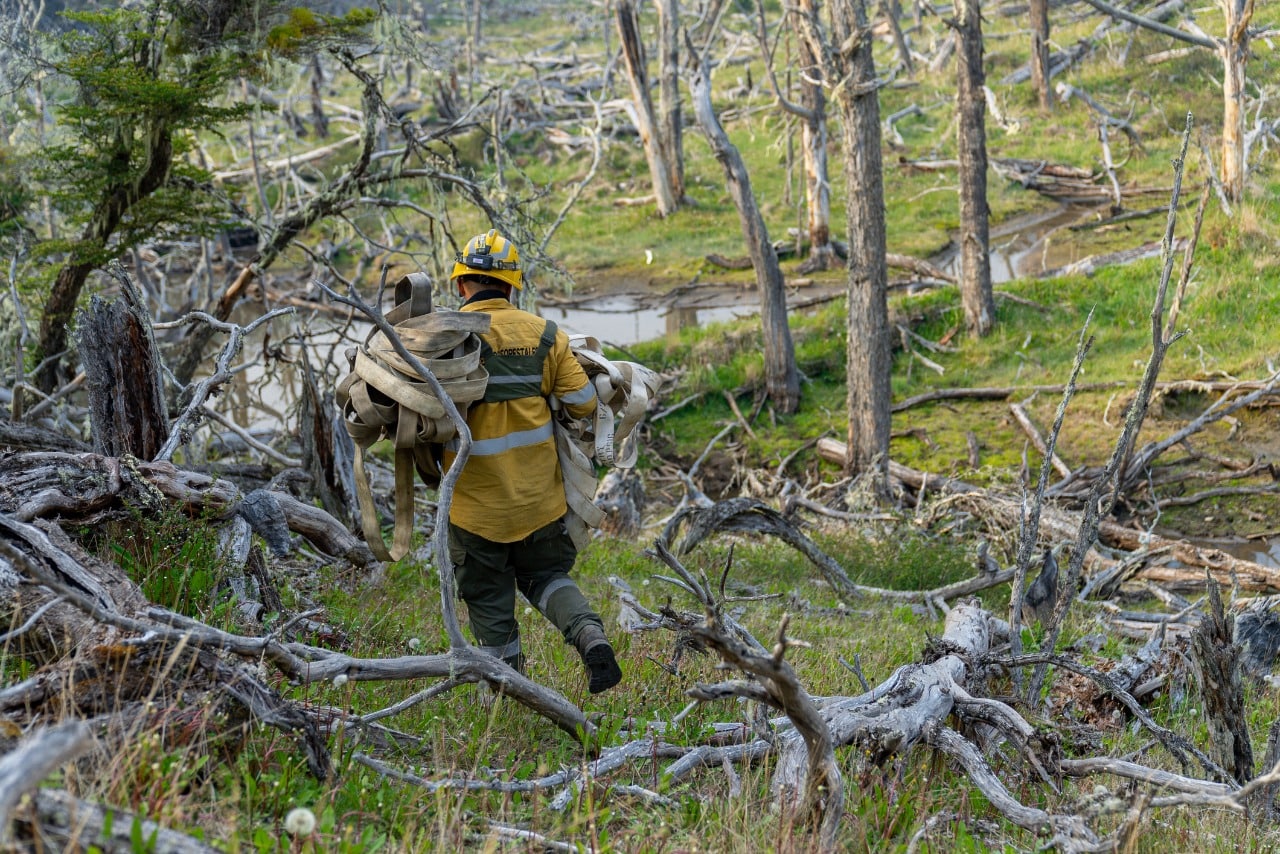 photo 2022 12 07 15 10 59