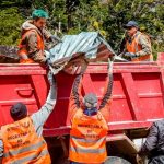 photo 2022 12 12 08 49 17