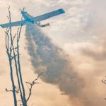 photo 2022 12 15 11 14 34