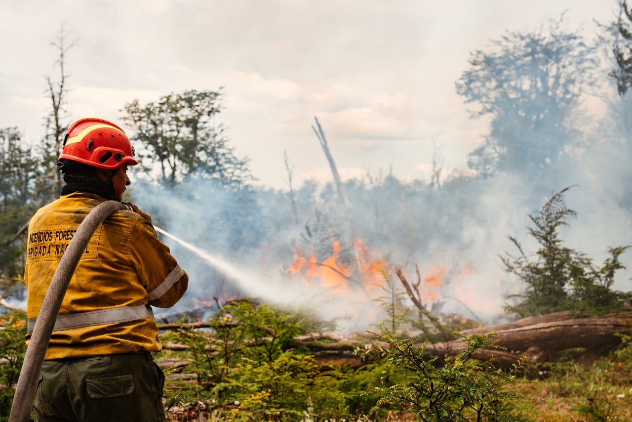 photo 2022 12 19 14 24 34