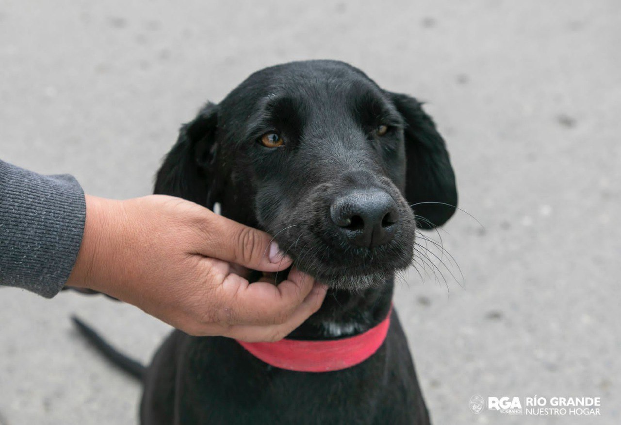 photo 2022 12 26 13 36 52