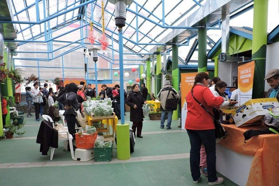 365519c201feaa03e8d3932af3830097 1000paseo artesanos rg