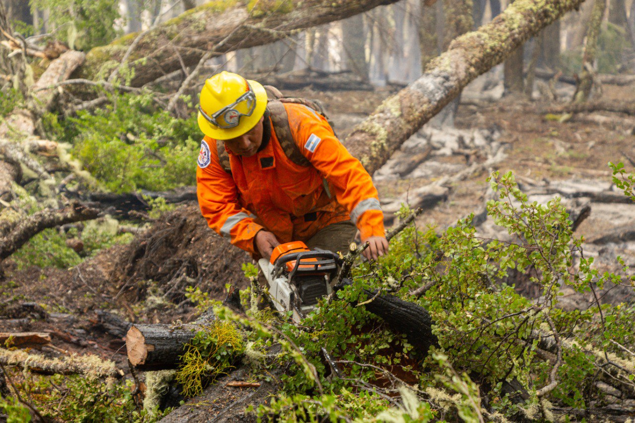 photo 2023 01 09 09 52 27