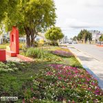 photo 2023 01 10 11 44 15