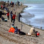 03cadb33519a8217edaa2993ad7241d3 1000fiesta robalo jp