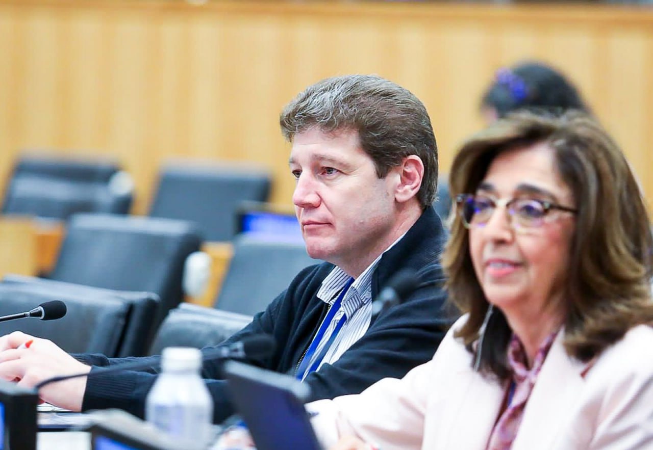 melella comité desconolización